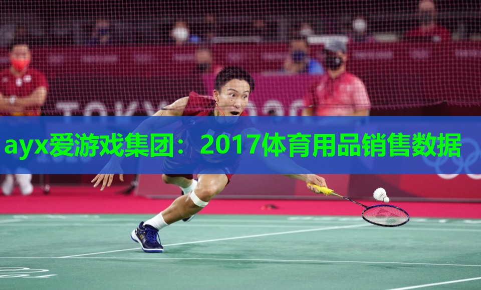 ayx爱游戏集团：2017体育用品销售数据