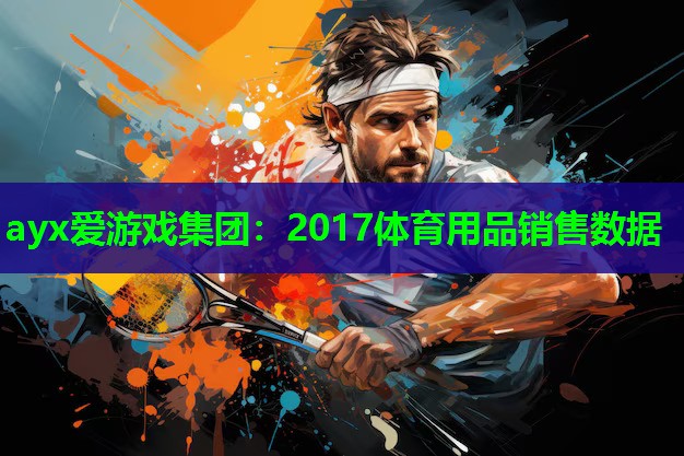 2017体育用品销售数据