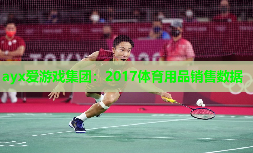 2017体育用品销售数据