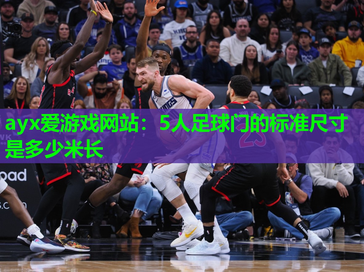 5人足球门的标准尺寸是多少米长