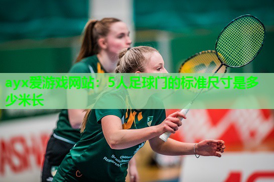 5人足球门的标准尺寸是多少米长